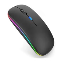 Mouse inalambrico